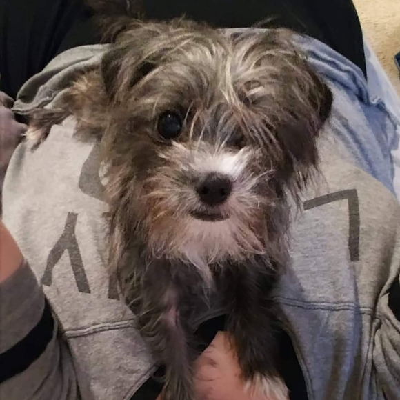 Meet your Posher, Lori - Picture 7 of 7